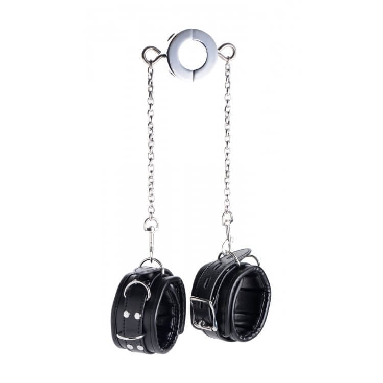 Master Series Hell's Tether Ball Stretcher Humbler